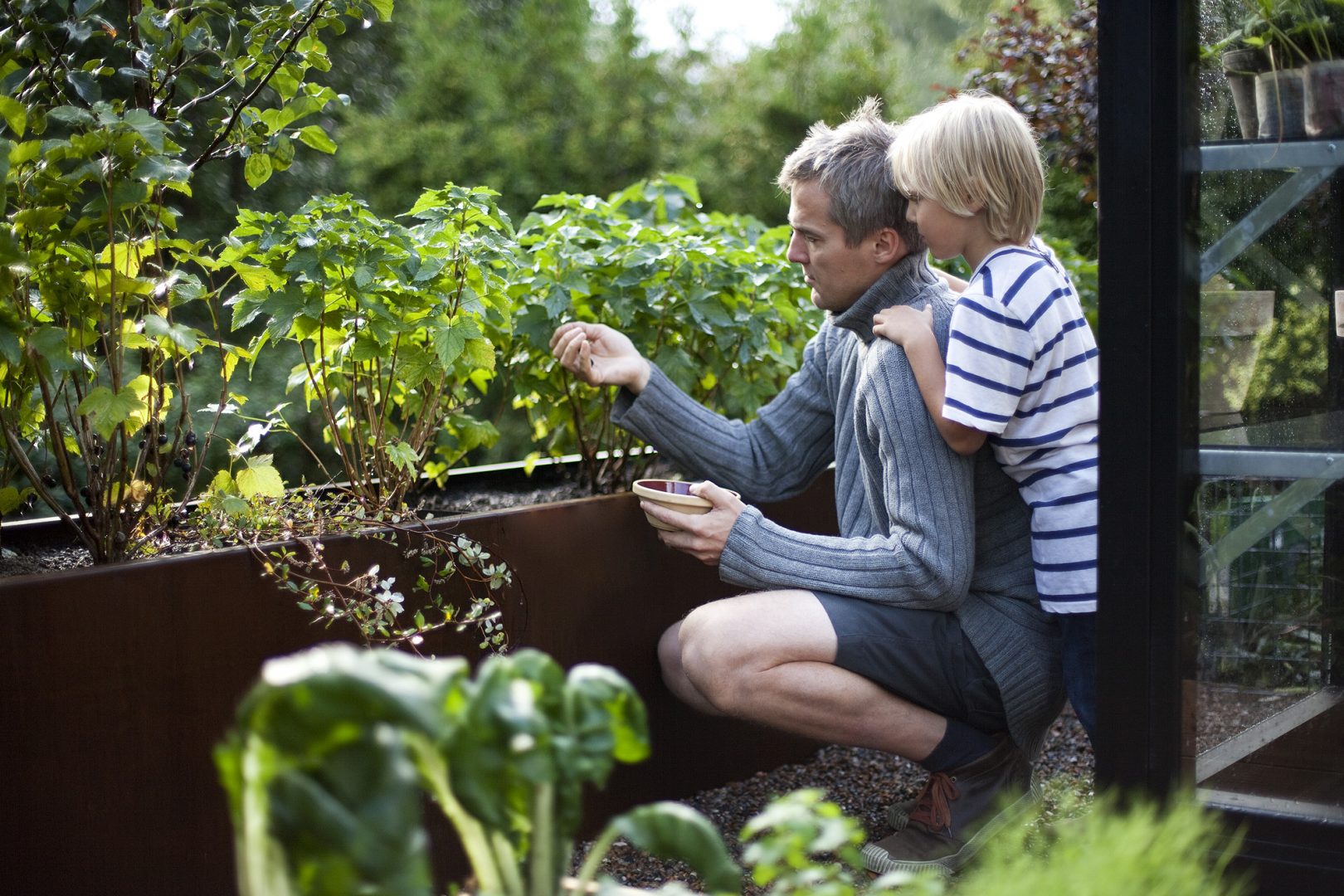 Kekkilä-BVB-st saab Euroopa juhtiv aiandusettevõte