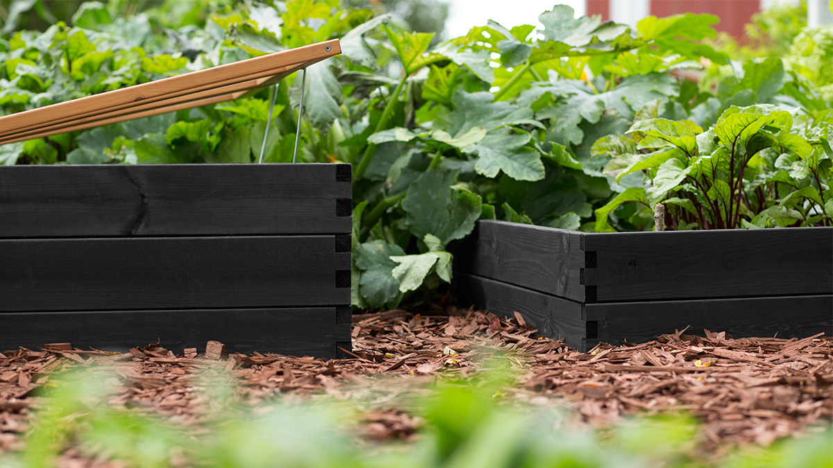 Aia nautimine on lubatud