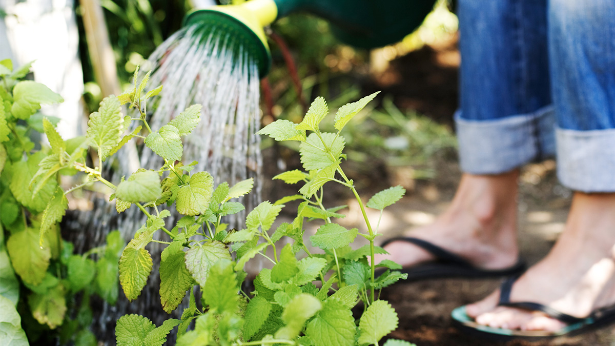 Kastmine puhkuse ajal