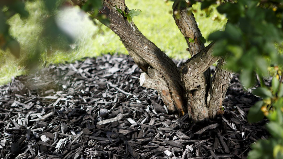 Mitu head põhjust multši ja kivide kasutamiseks