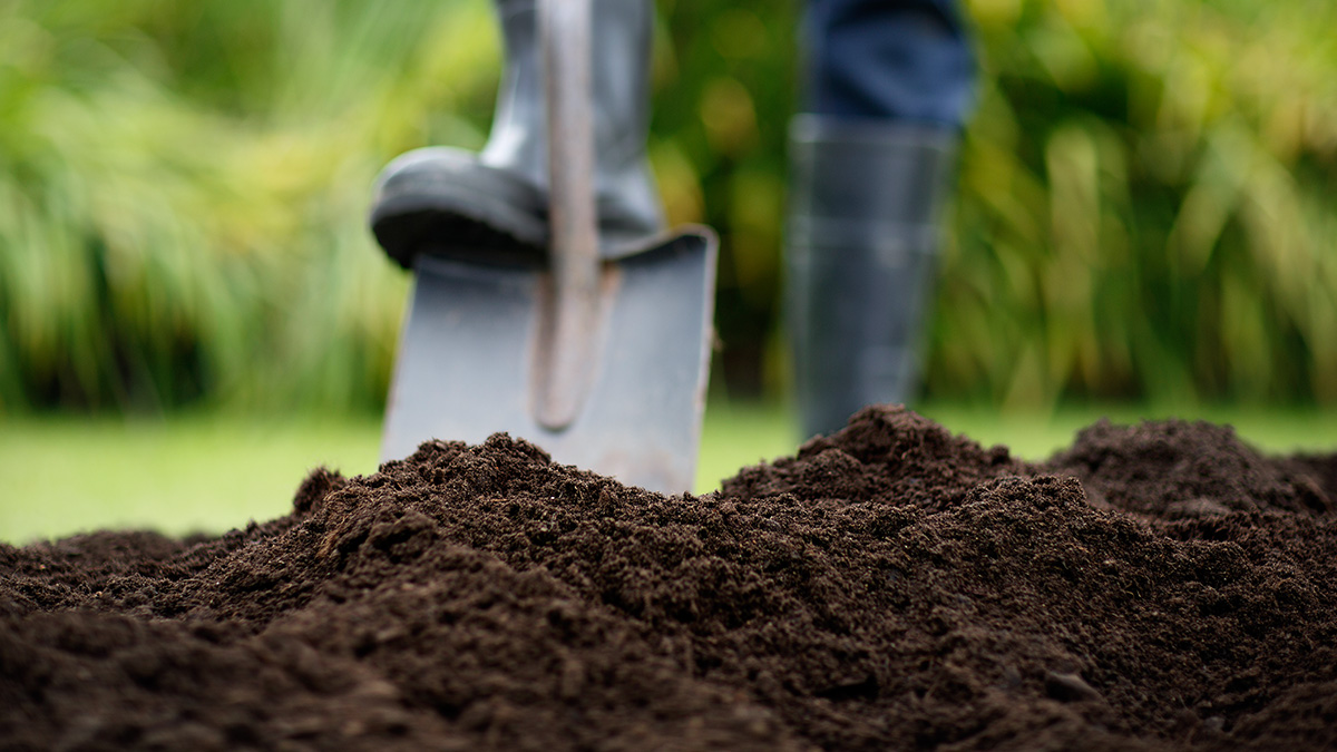 Kas veido labu augsni?