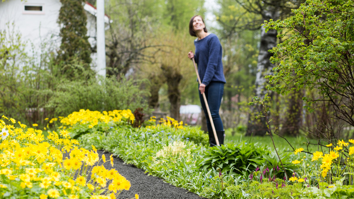 Aia kevadine korrastamine