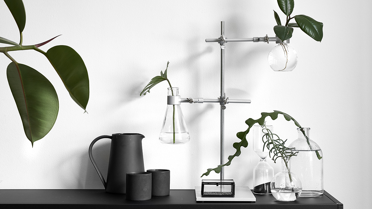 Green Home Book – uudiskiri roheliste taimede ja ilusate kodude austajatele