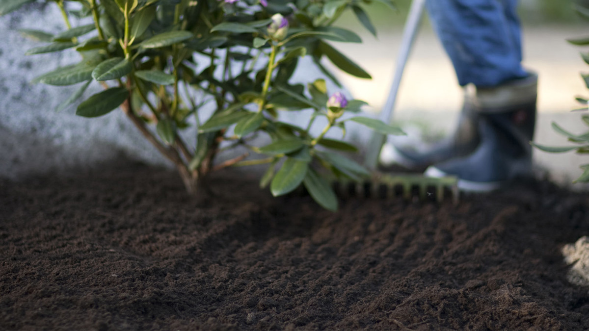 Happelise mulla taimede väetamine