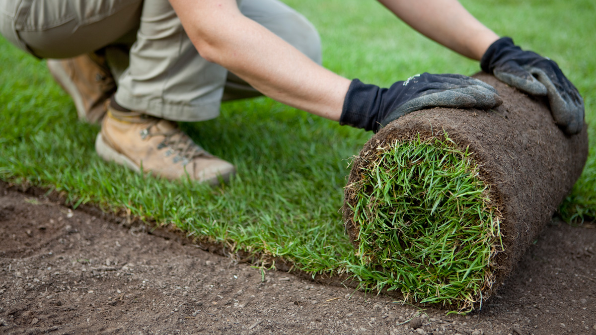 Sametine muru ühe päevaga!