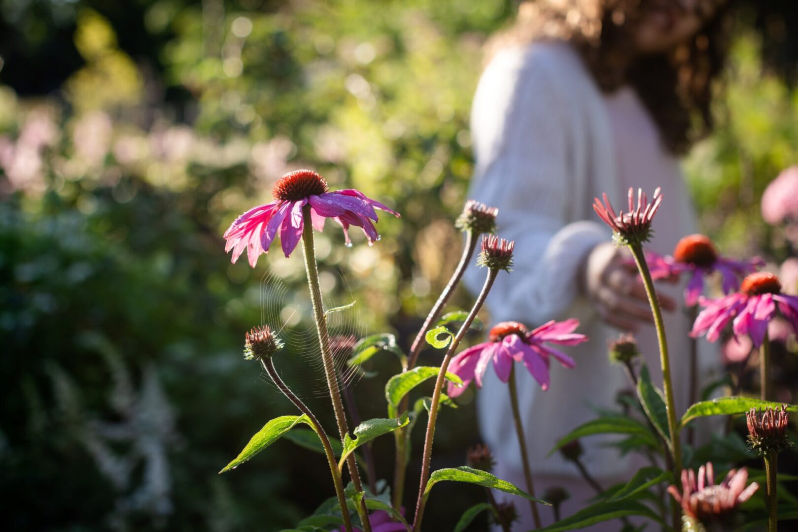 Kutsu loodus aeda – näpunäiteid loodusaed