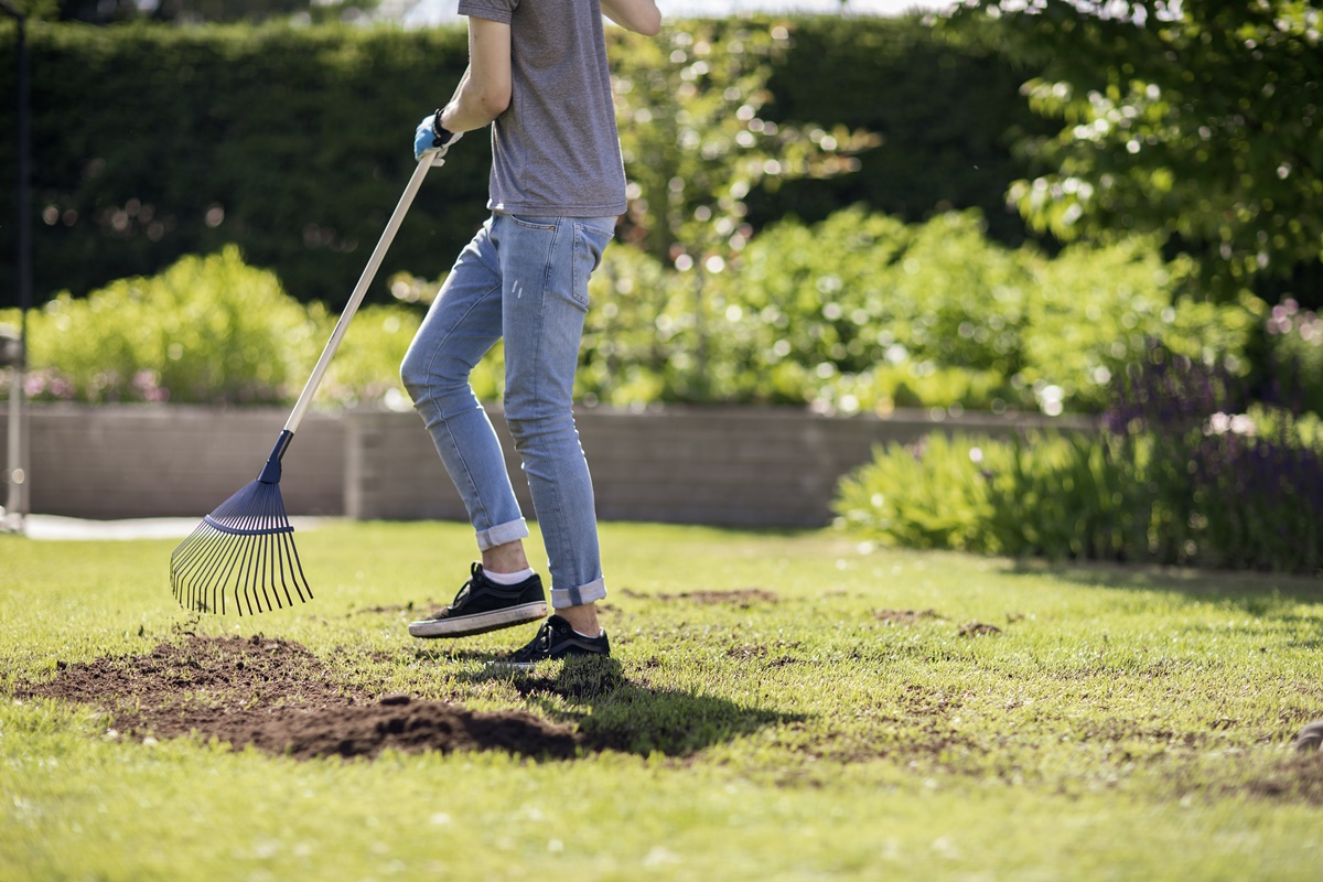 Kaip pagerinti vejos augimą?