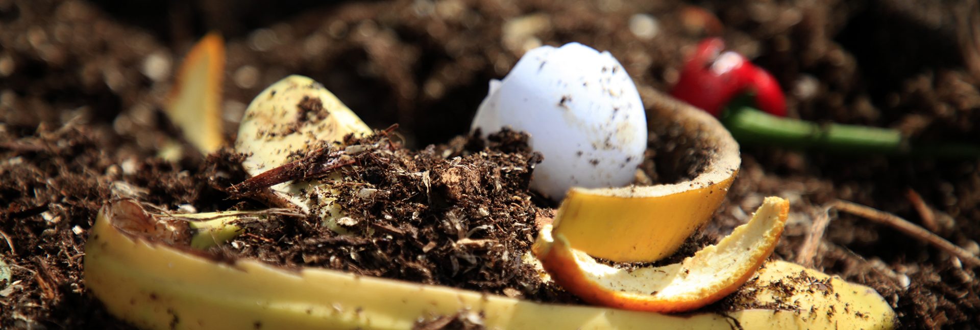 Komposti majapidamis- ja taimsed jäätmed mullaks