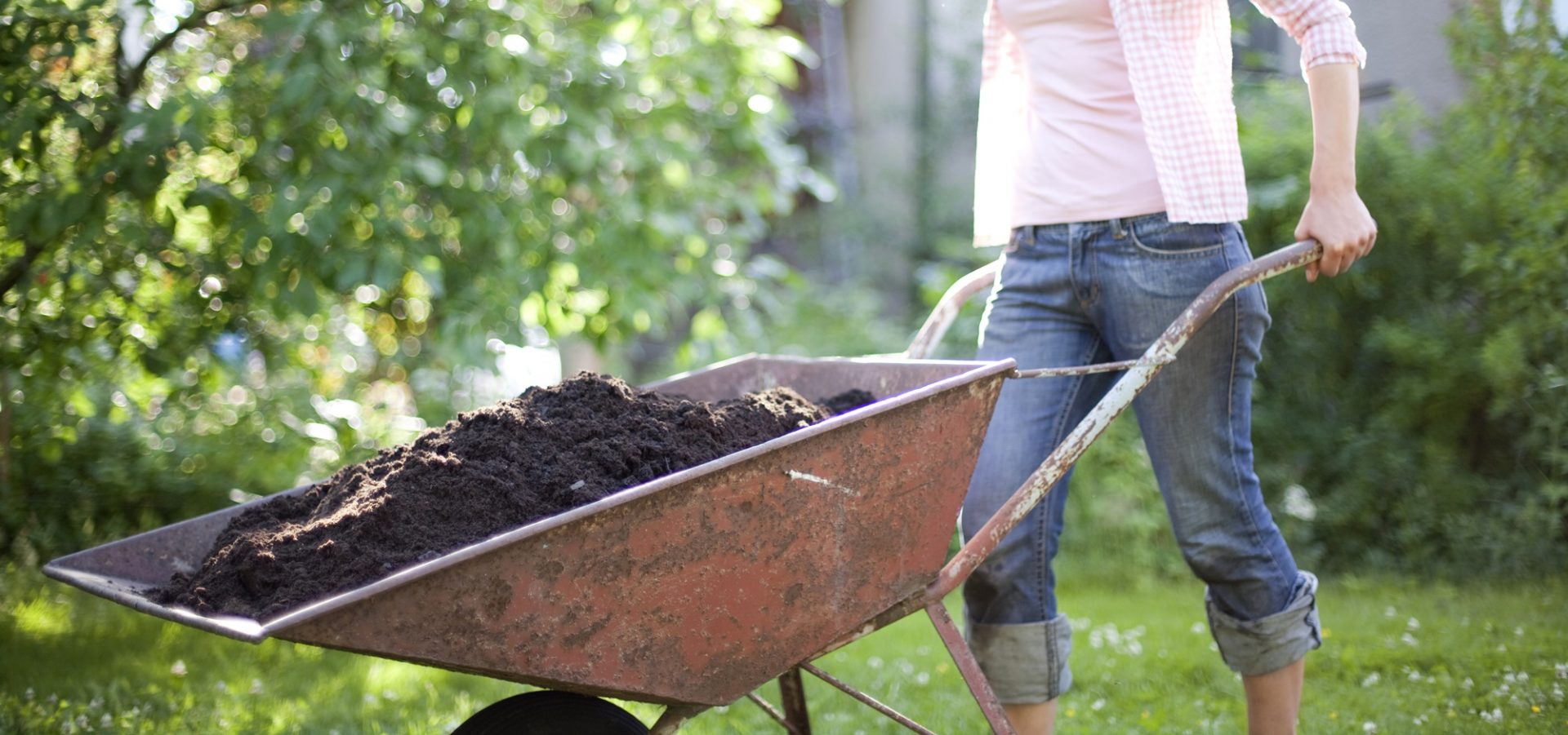 Komposta augsnes izmantošana dārzā