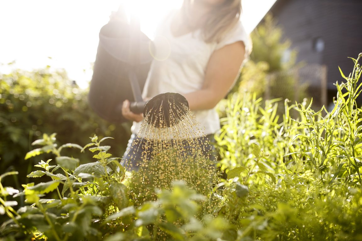 GARDEN_Summer_2018_brand-1 (1)