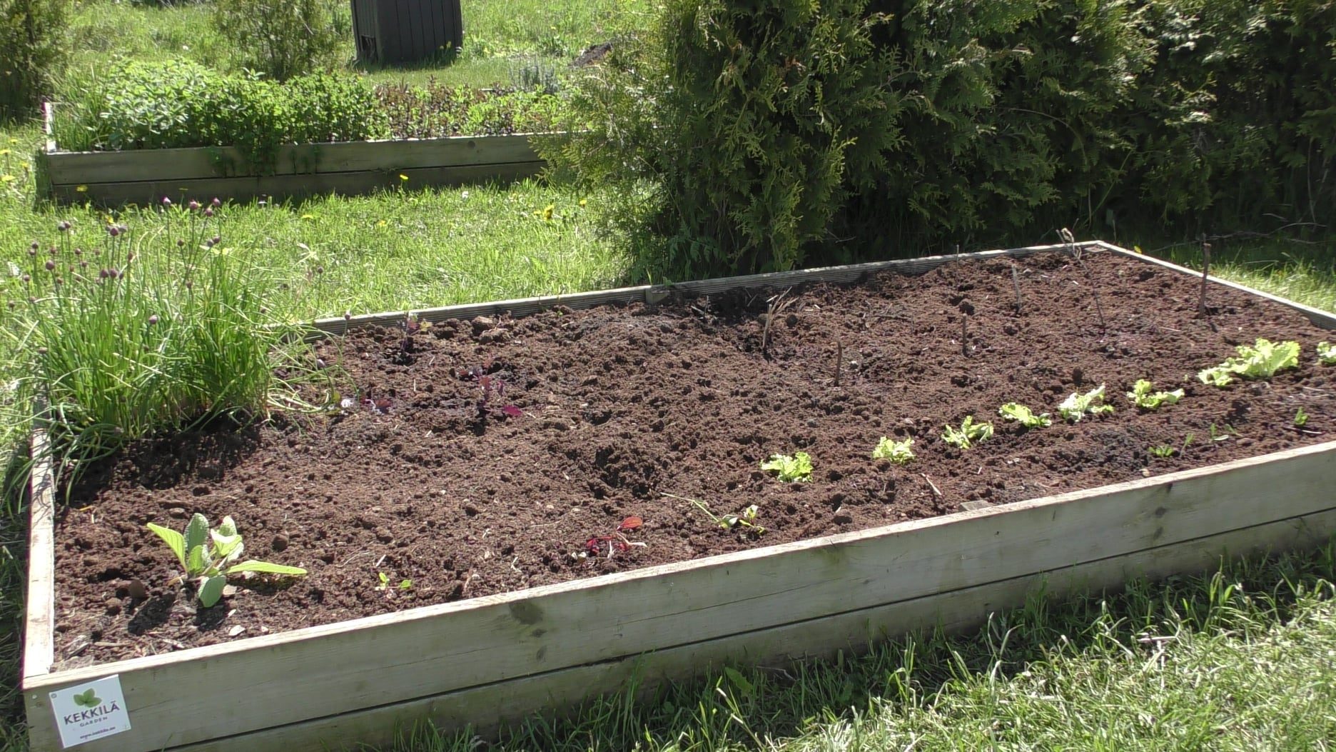 Muraste Kooli õppeaed