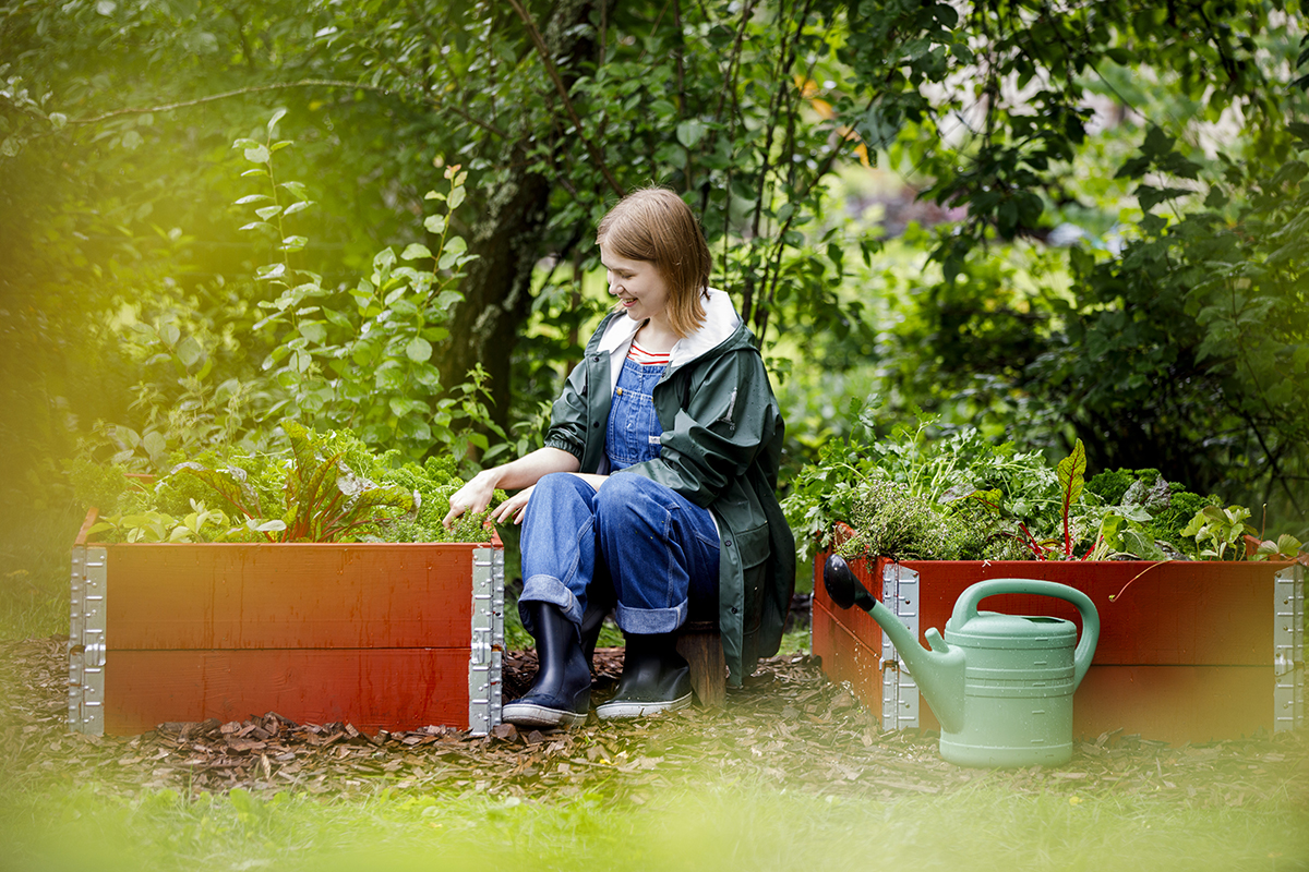 Loo lihtne kasvatuskasti aed