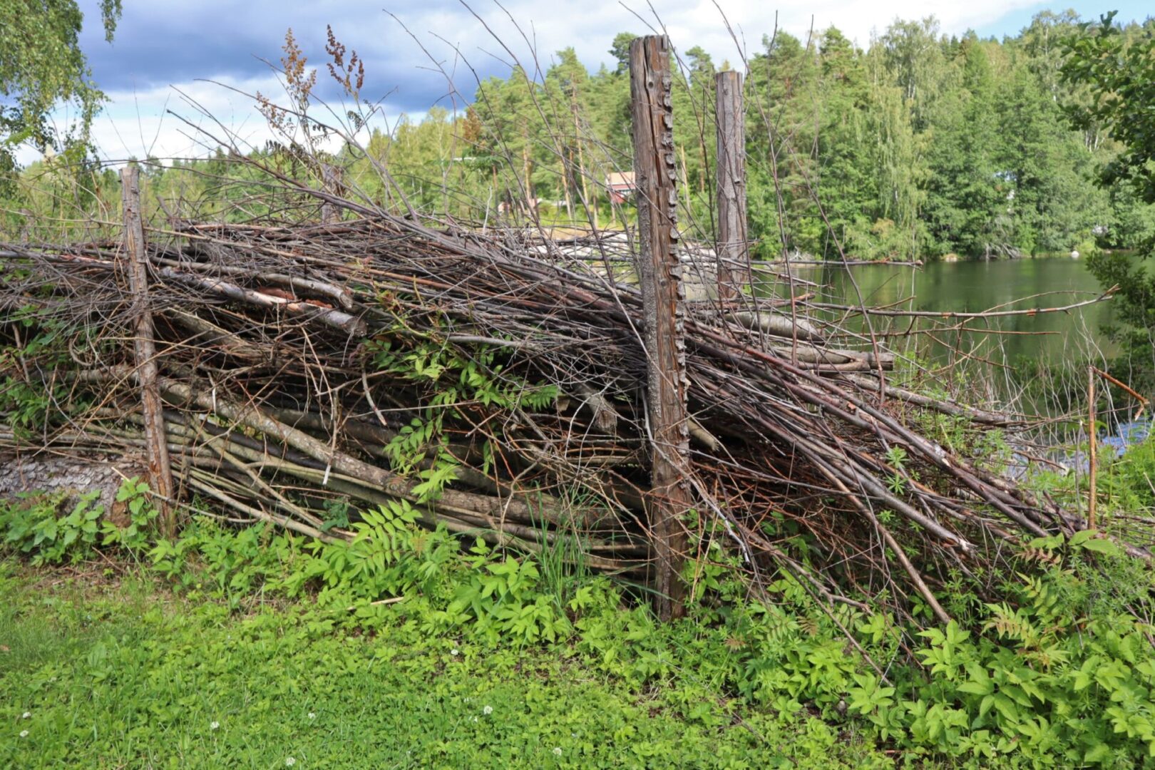 Kõdunev oksatara – lihtne putukahotell