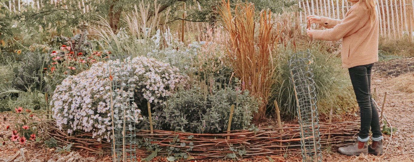 Kuidas rajada kaevamisvaba aed