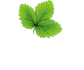 Kekkilä.ee
